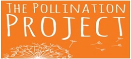 The Pollinatio Project